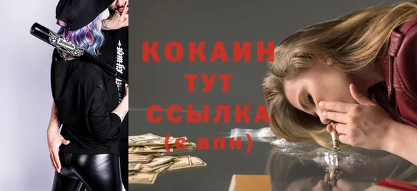 ПСИЛОЦИБИНОВЫЕ ГРИБЫ Аркадак