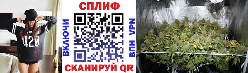 Бошки Шишки семена Полевской